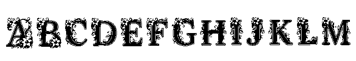 Poplar Regular FONT