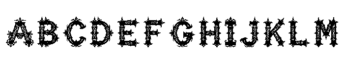 Portulaca Regular Font UPPERCASE