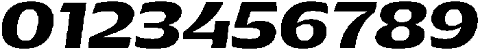 Pocas Bold Oblique ttf (700) Font OTHER CHARS