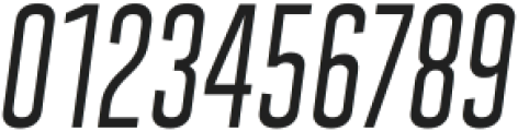 Polate SemiLight Italic ttf (300) Font OTHER CHARS