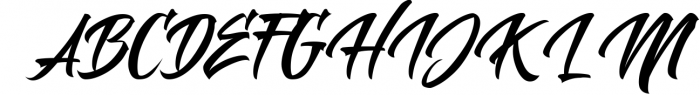 Polaria Script Typeface Font UPPERCASE