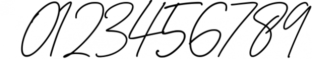 Pollaroid - Stylish Signature Font Font OTHER CHARS