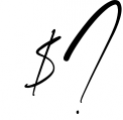 Portofolio - Handwritten Font Font OTHER CHARS