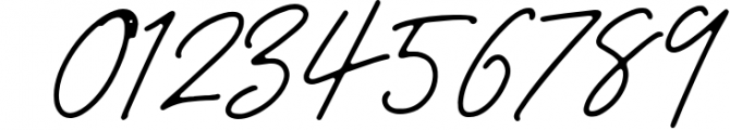Portrait Signature Script - 6 Fonts - font bundle 2 Font OTHER CHARS