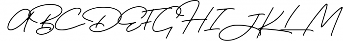 Portrait Signature Script - 6 Fonts - font bundle 2 Font UPPERCASE