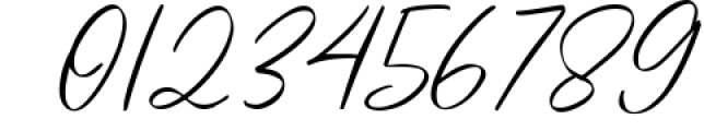 Posh Jarvis Signature Script Font Font OTHER CHARS