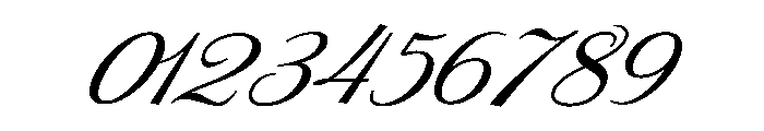 Polaroid Script Font OTHER CHARS