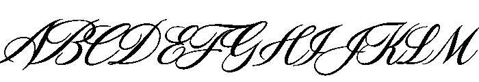 Polaroid Script Font UPPERCASE