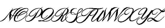 Polaroid Script Font UPPERCASE