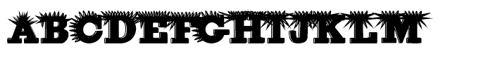 Porcupine Regular Font UPPERCASE