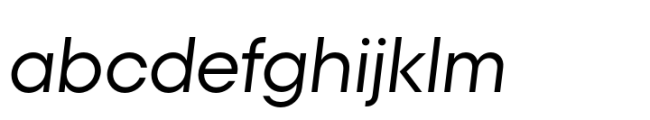 Polin Sans Italic FONT