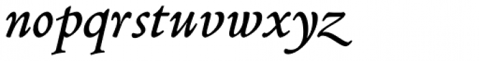 Poliphili Display Italic Font LOWERCASE