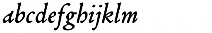 Poliphili Italic Font LOWERCASE