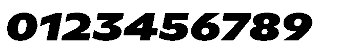 Polyguard Black Oblique Font OTHER CHARS