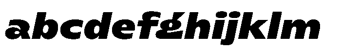Polyguard Black Oblique FONT