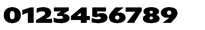 Polyguard Black Font OTHER CHARS