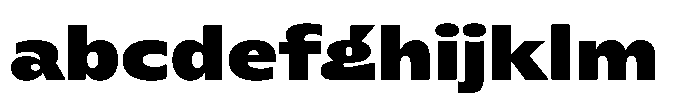 Polyguard Black FONT