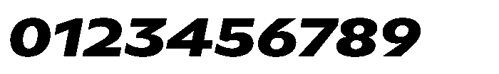 Polyguard Bold Oblique Font OTHER CHARS