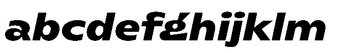 Polyguard Bold Oblique FONT