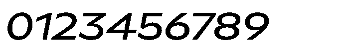 Polyguard Oblique Font OTHER CHARS