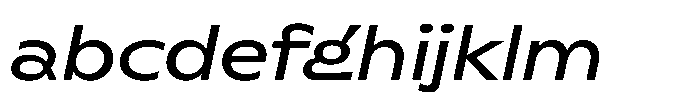 Polyguard Oblique FONT