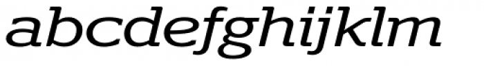 Polyphonic Extended Italic Font LOWERCASE