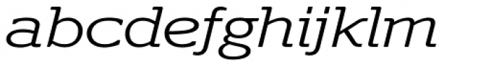 Polyphonic Extended Light Italic Font LOWERCASE