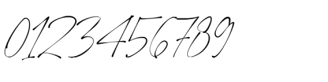 Ponpewd Signature Regular Font OTHER CHARS