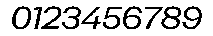 PoWAlaraVF Italic Instance Font OTHER CHARS
