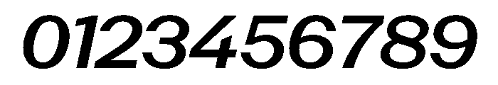 PoWAlaraVF MediumItalic Instance Font OTHER CHARS