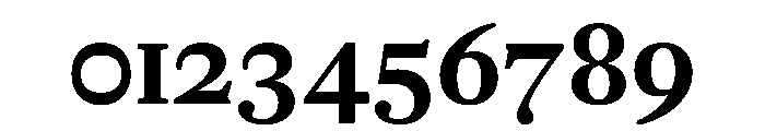 PoWGarnier Bold Instance Font OTHER CHARS