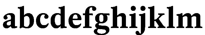 PoWGarnier Bold Instance FONT