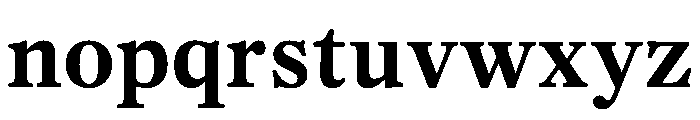 PoWGarnier Bold Instance Font LOWERCASE