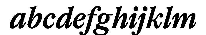 PoWGarnier BoldItalic FONT