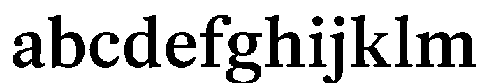 PoWGarnier Medium FONT