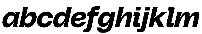 PolySans BulkyItalic Instance FONT