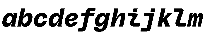 PolySans BulkyMonoItalic Instance FONT