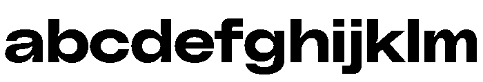 PolySans BulkyWide FONT