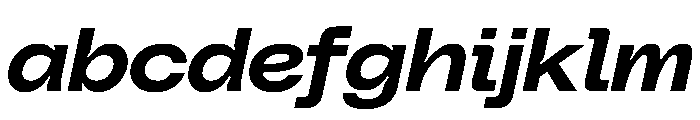 PolySans InkyWideItalic Instance FONT
