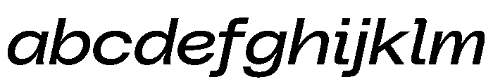 PolySans NeutralWideItalic Instance FONT