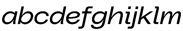 PolySans SlimWideItalic Instance FONT
