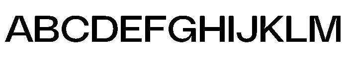 PolySansHebrew NeutralWide Instance Font UPPERCASE