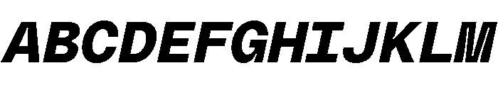 PolySansItalic BulkyMonoItalic Font UPPERCASE