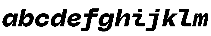 PolySansItalic BulkyMonoItalic FONT