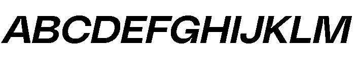 PolySansItalic MedianItalic Font UPPERCASE
