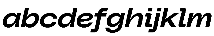 PolySansItalic MedianWideItalic FONT