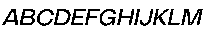 PolySansItalic NeutralItalic Font UPPERCASE