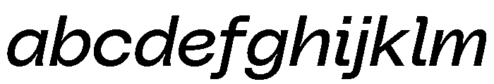 PolySansItalic NeutralItalic FONT