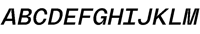 PolySansItalic NeutralMonoItalic Font UPPERCASE