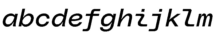 PolySansItalic NeutralMonoItalic FONT